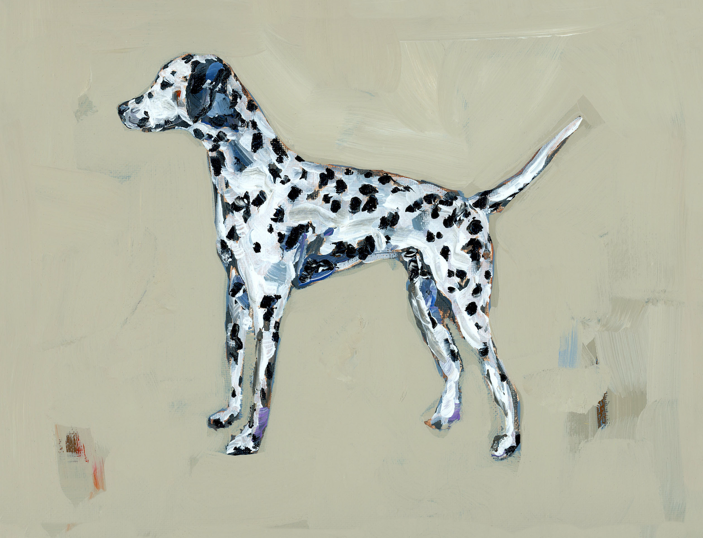 "Dalmatian" on paper