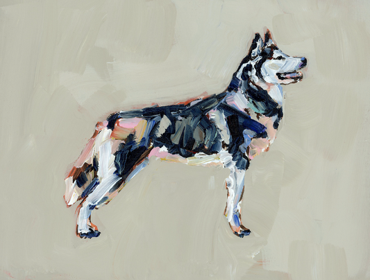 "Siberian Husky" on paper