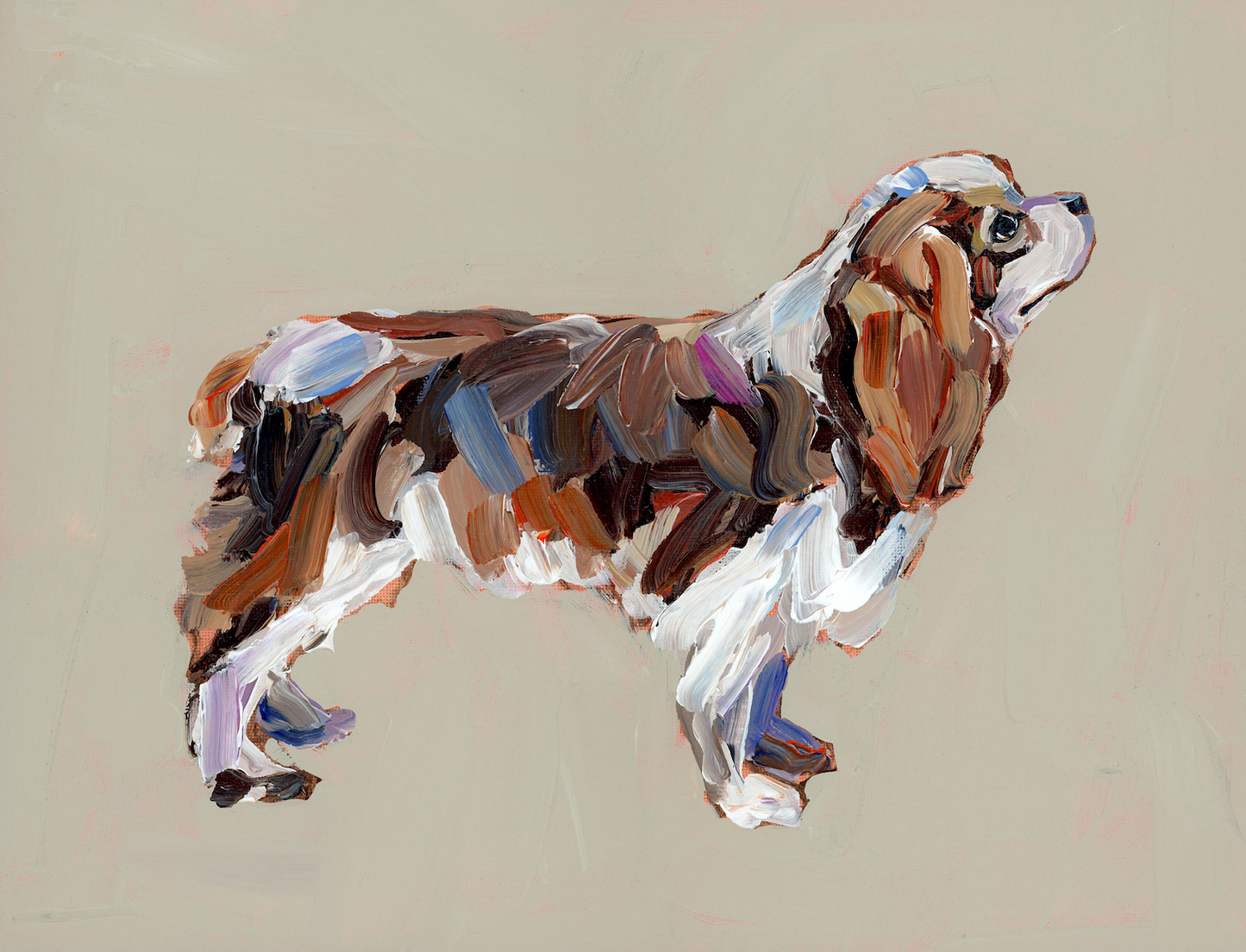 "Cavalier King Charles (blenheim)" on paper