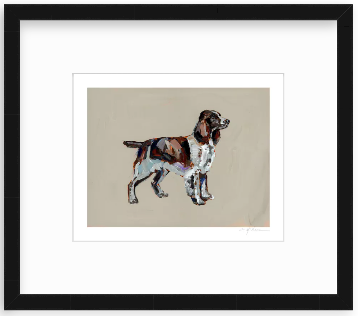 "English Springer Spaniel" on paper
