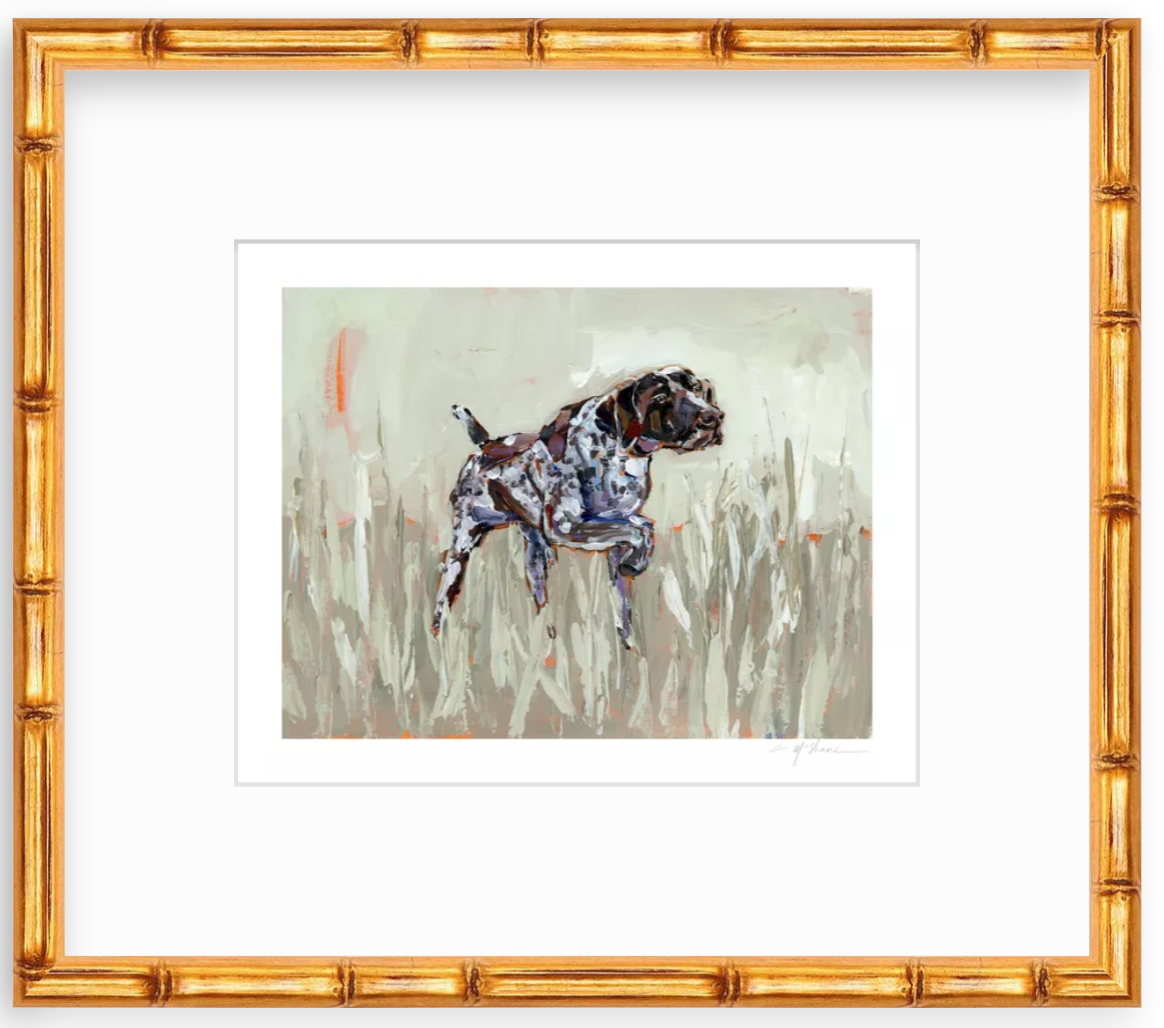 "German Shorthaired Pointer" on paper