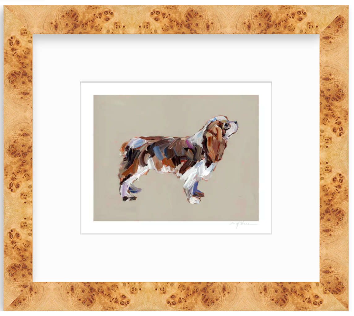 "Cavalier King Charles (blenheim)" on paper