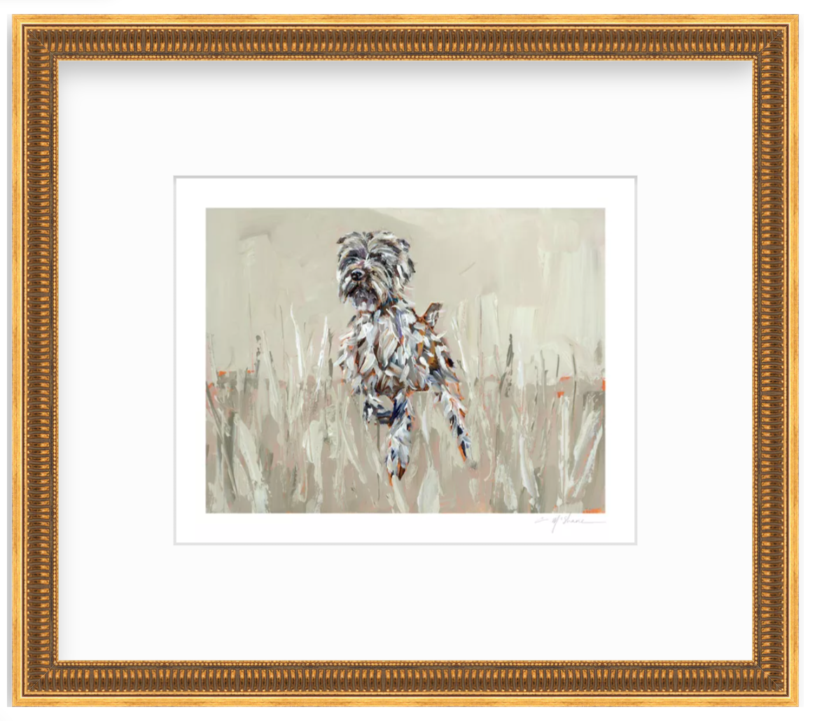 "Wirehaired Pointing Griffon" on paper