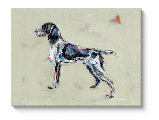 "German Wire-haired Pointer" print
