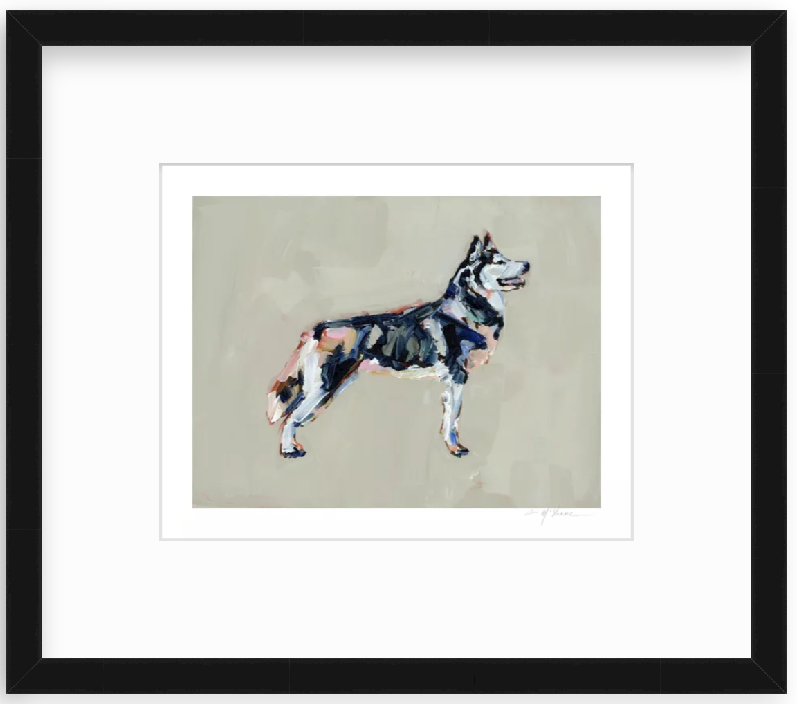 "Siberian Husky" on paper