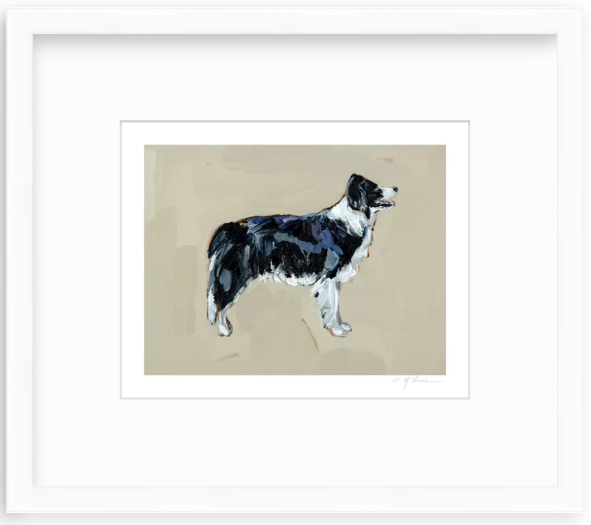 "Border Collie" on paper