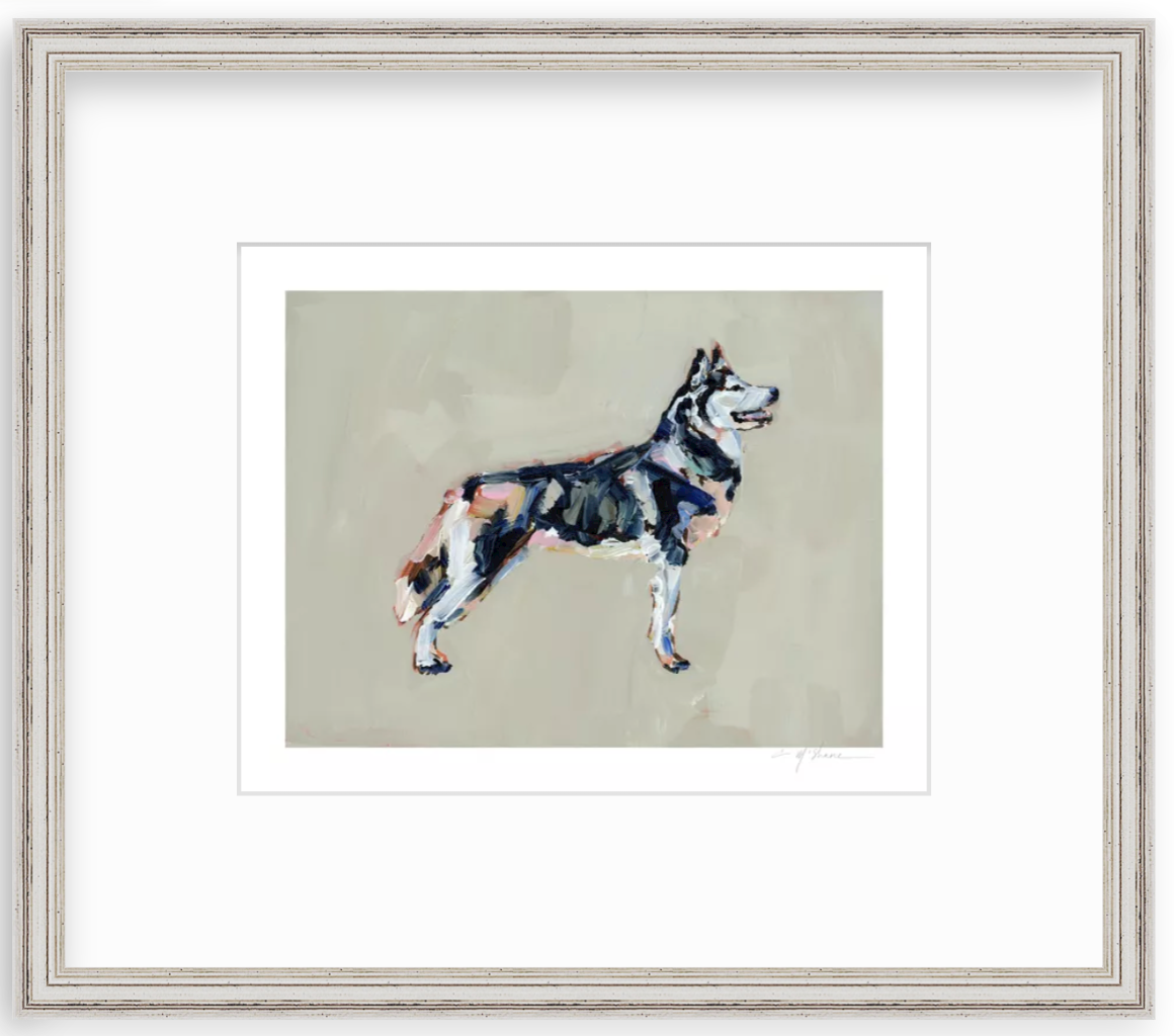 "Siberian Husky" on paper