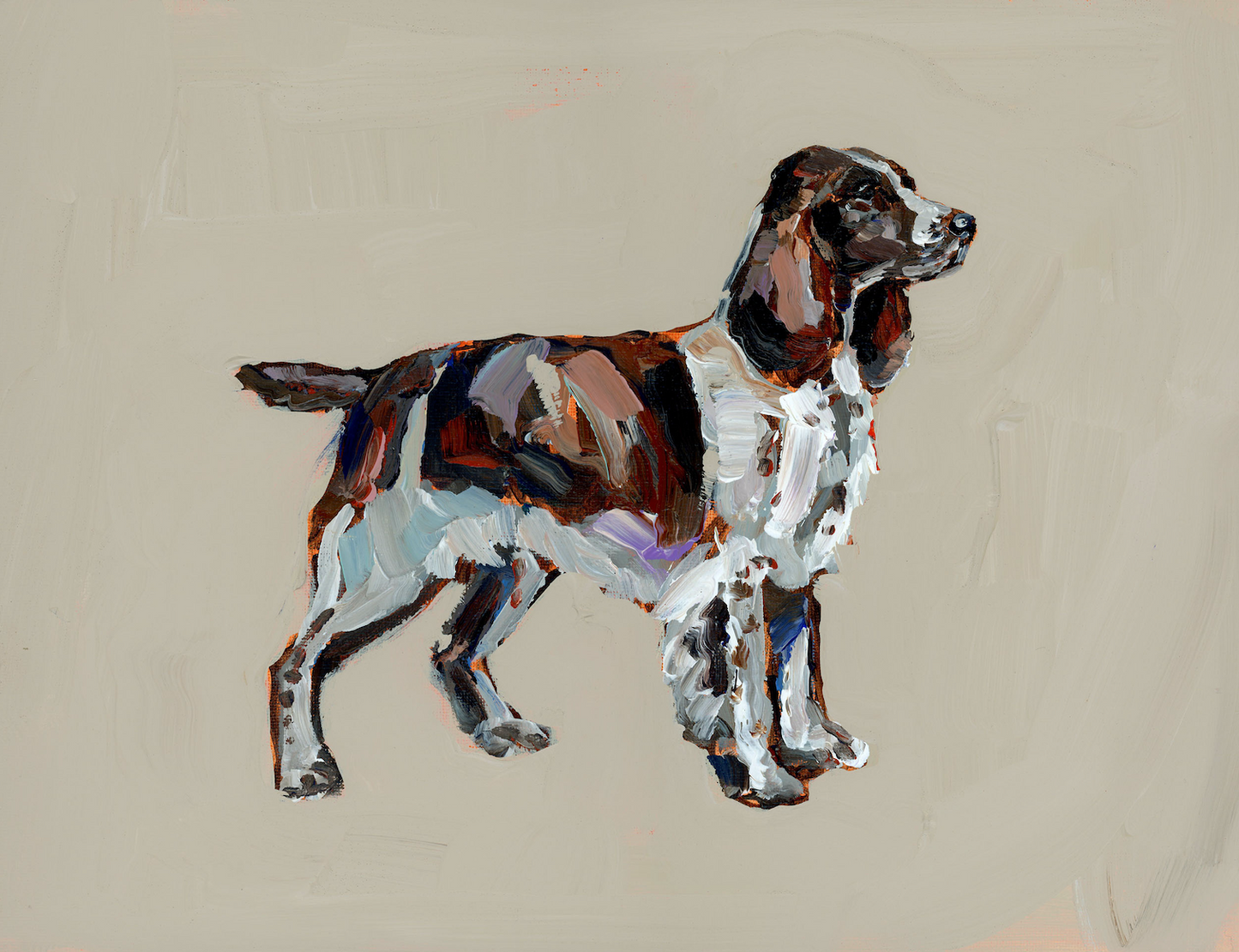 "English Springer Spaniel" on paper