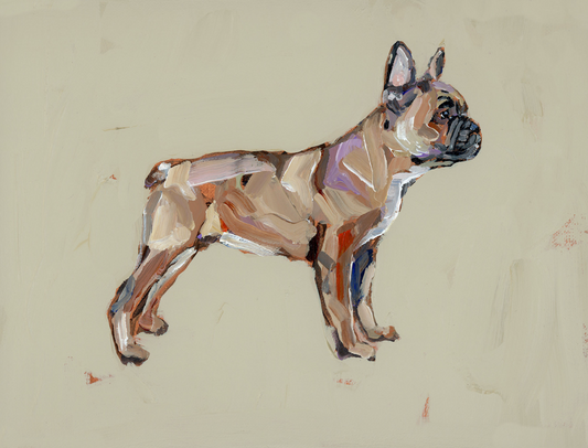 "French Bulldog" on paper