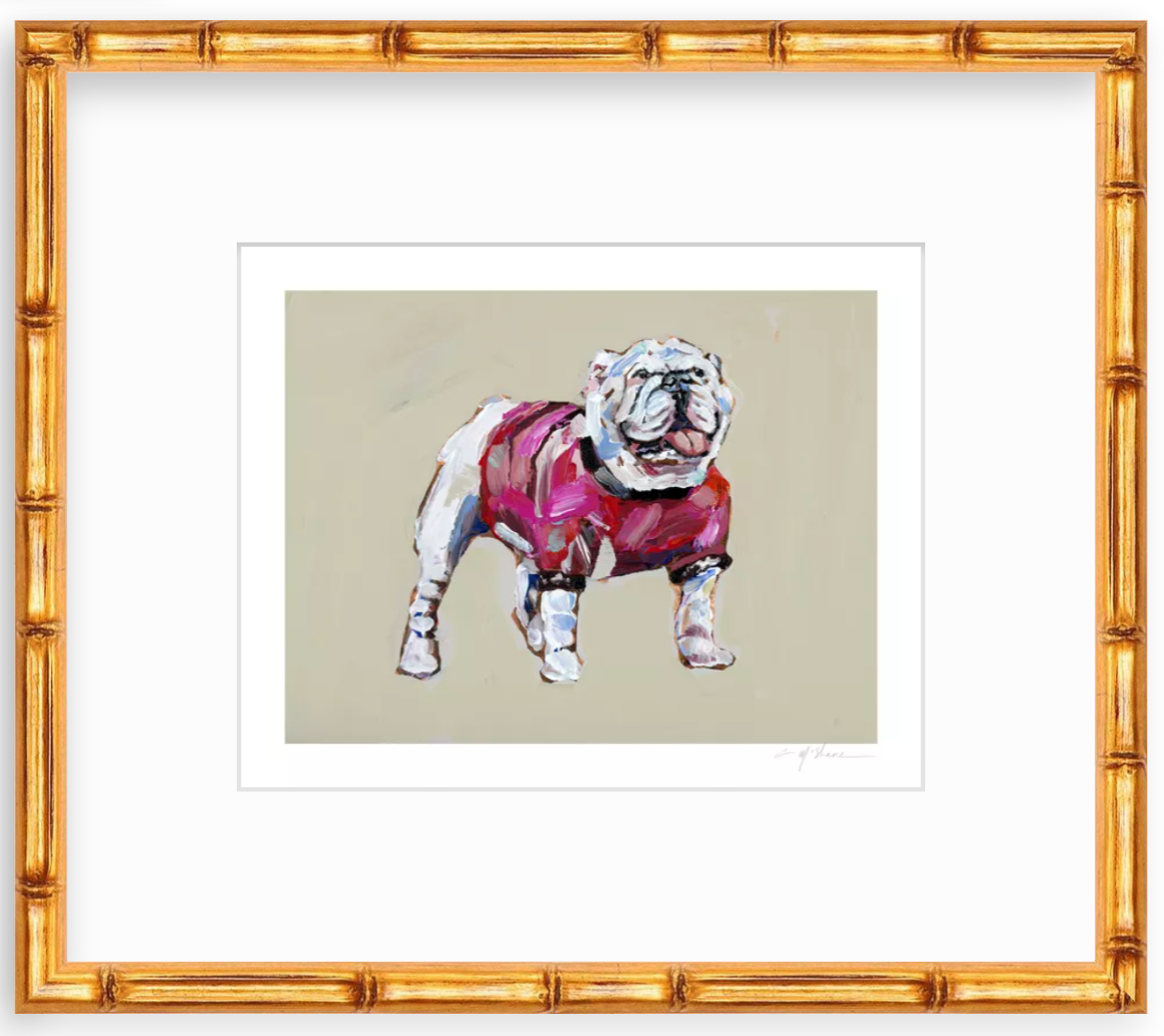 "Bulldog Red Shirt" on paper