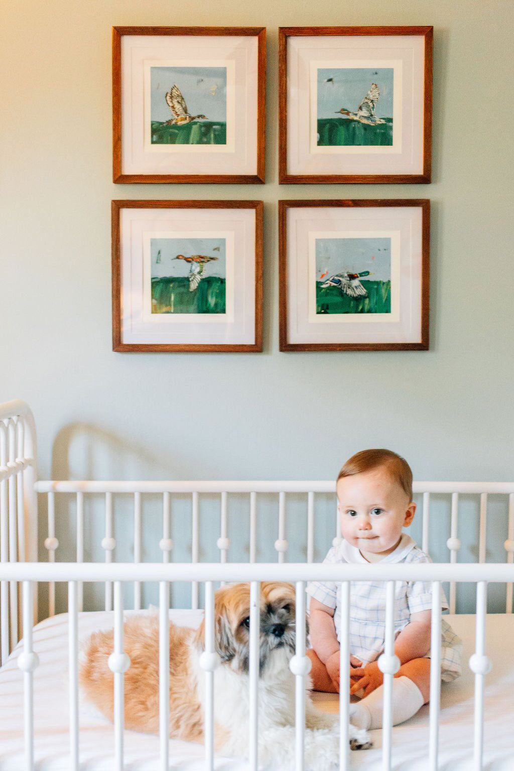 Waterfowl (sets of 2, 3, or 4)