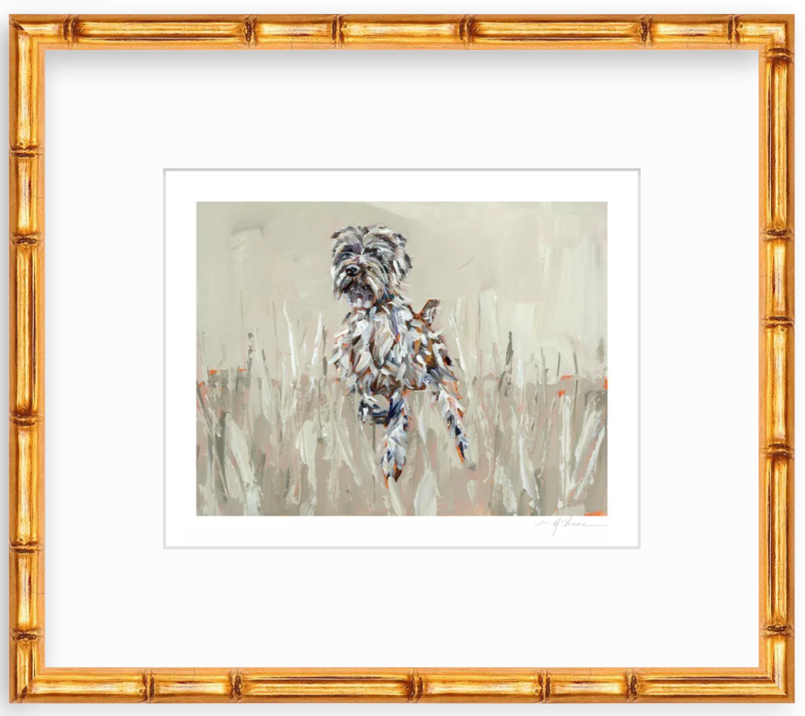 "Wirehaired Pointing Griffon" on paper