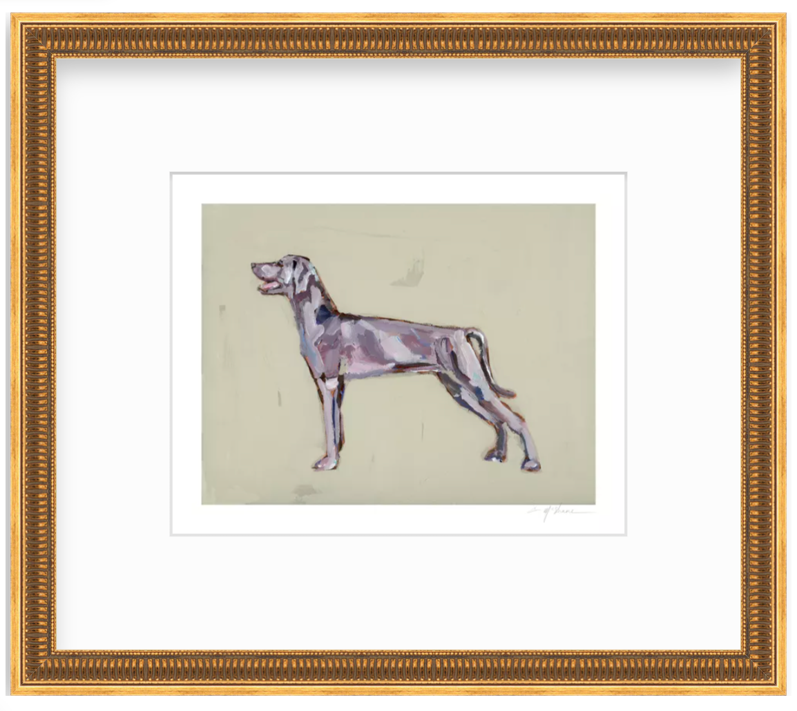 "Weimaraner" on paper