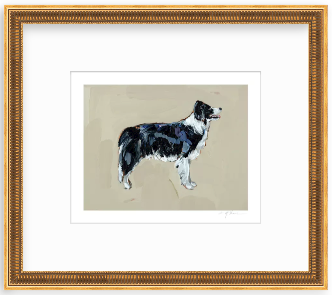 "Border Collie" on paper