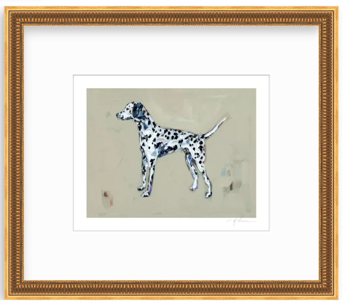 "Dalmatian" on paper
