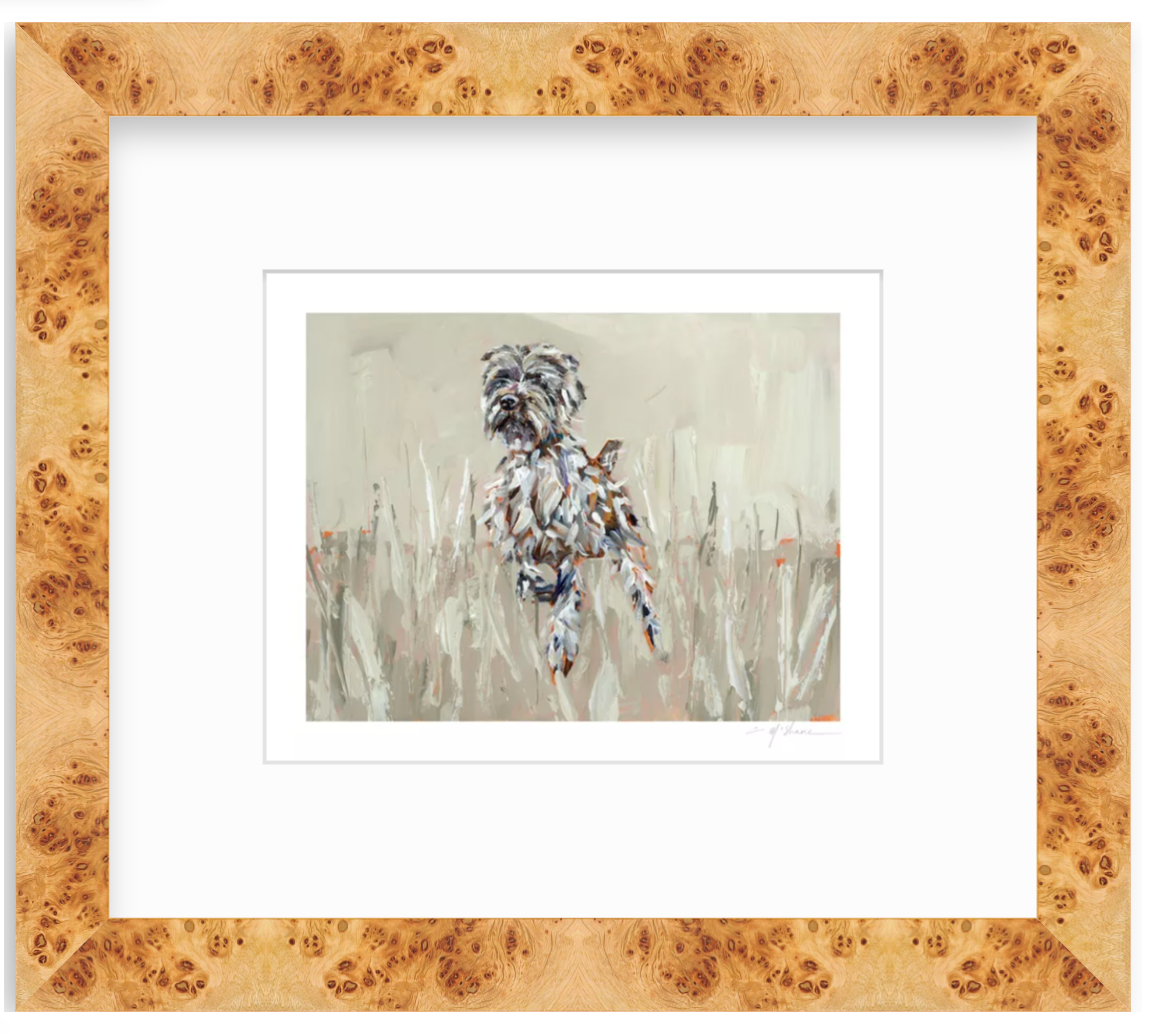 "Wirehaired Pointing Griffon" on paper