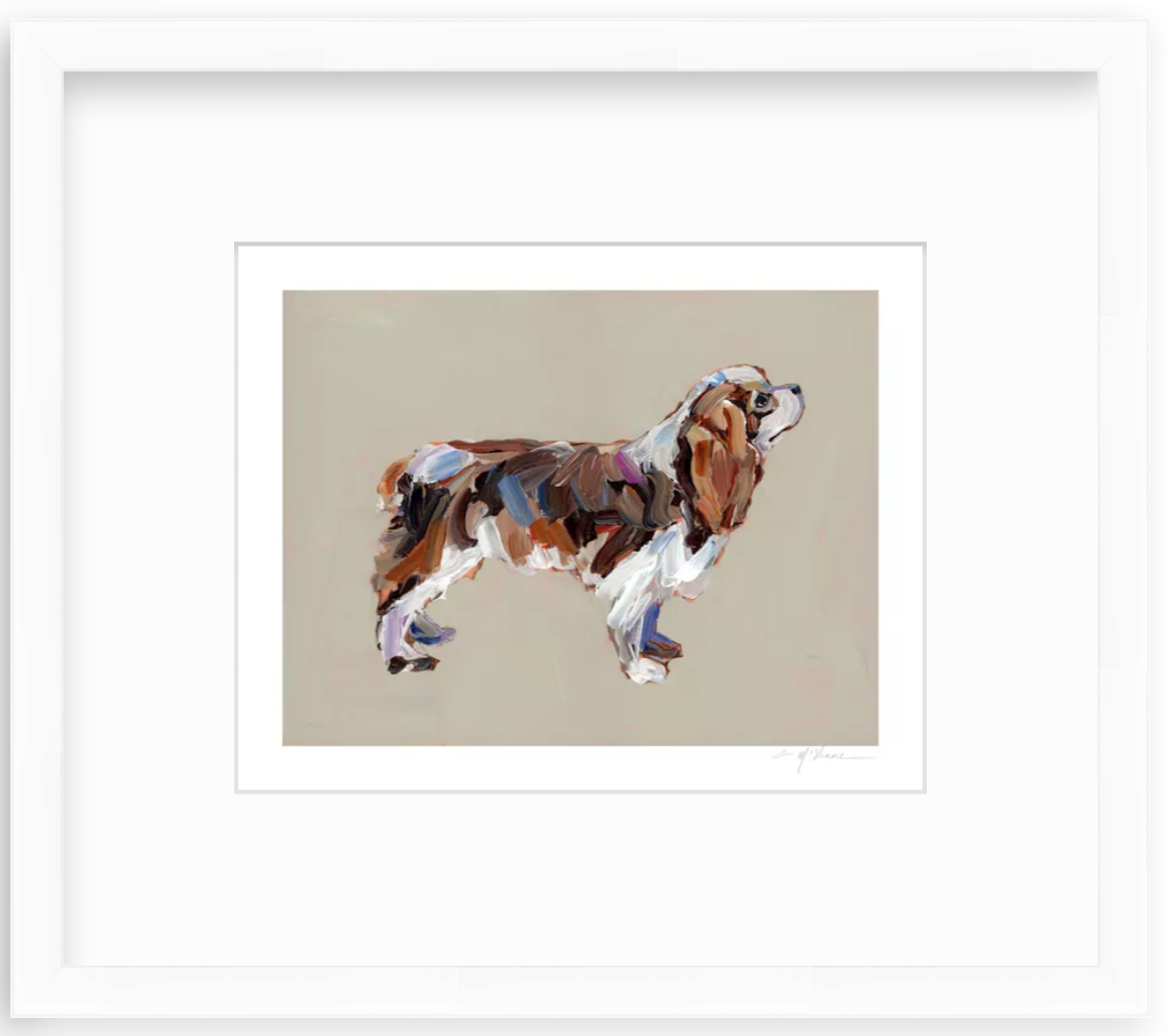 "Cavalier King Charles (blenheim)" on paper