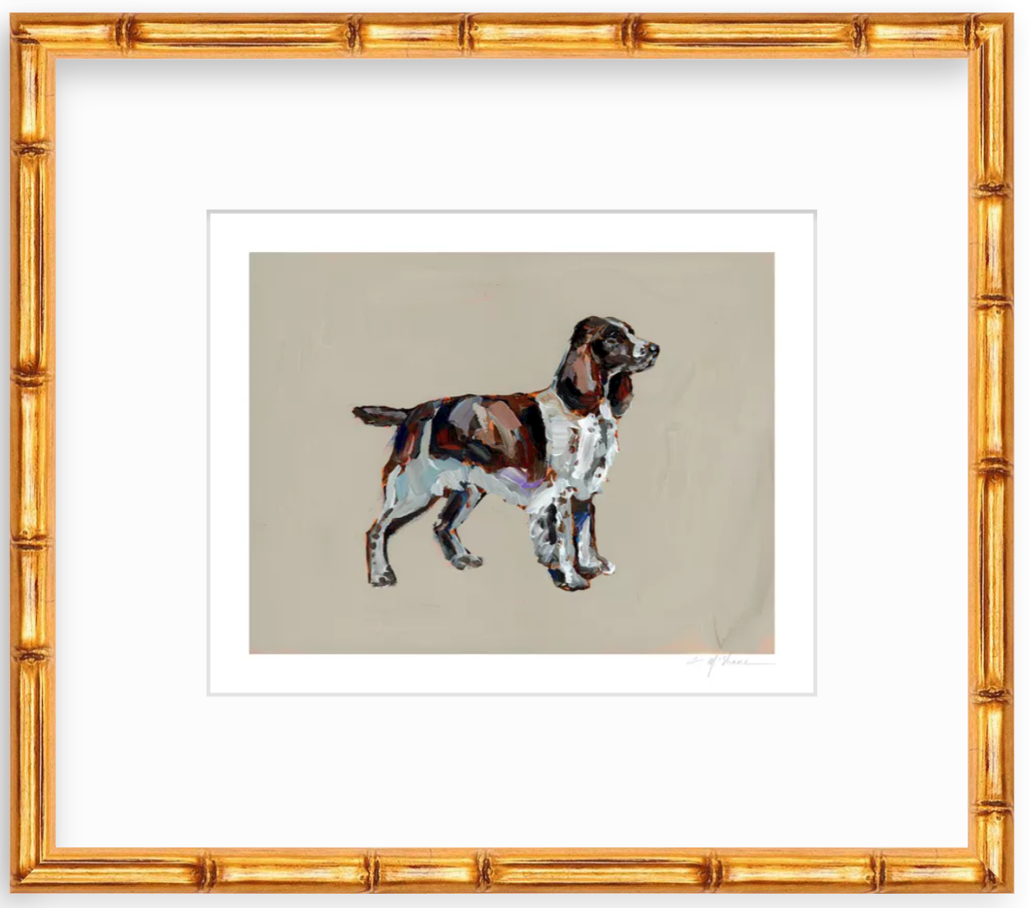 "English Springer Spaniel" on paper
