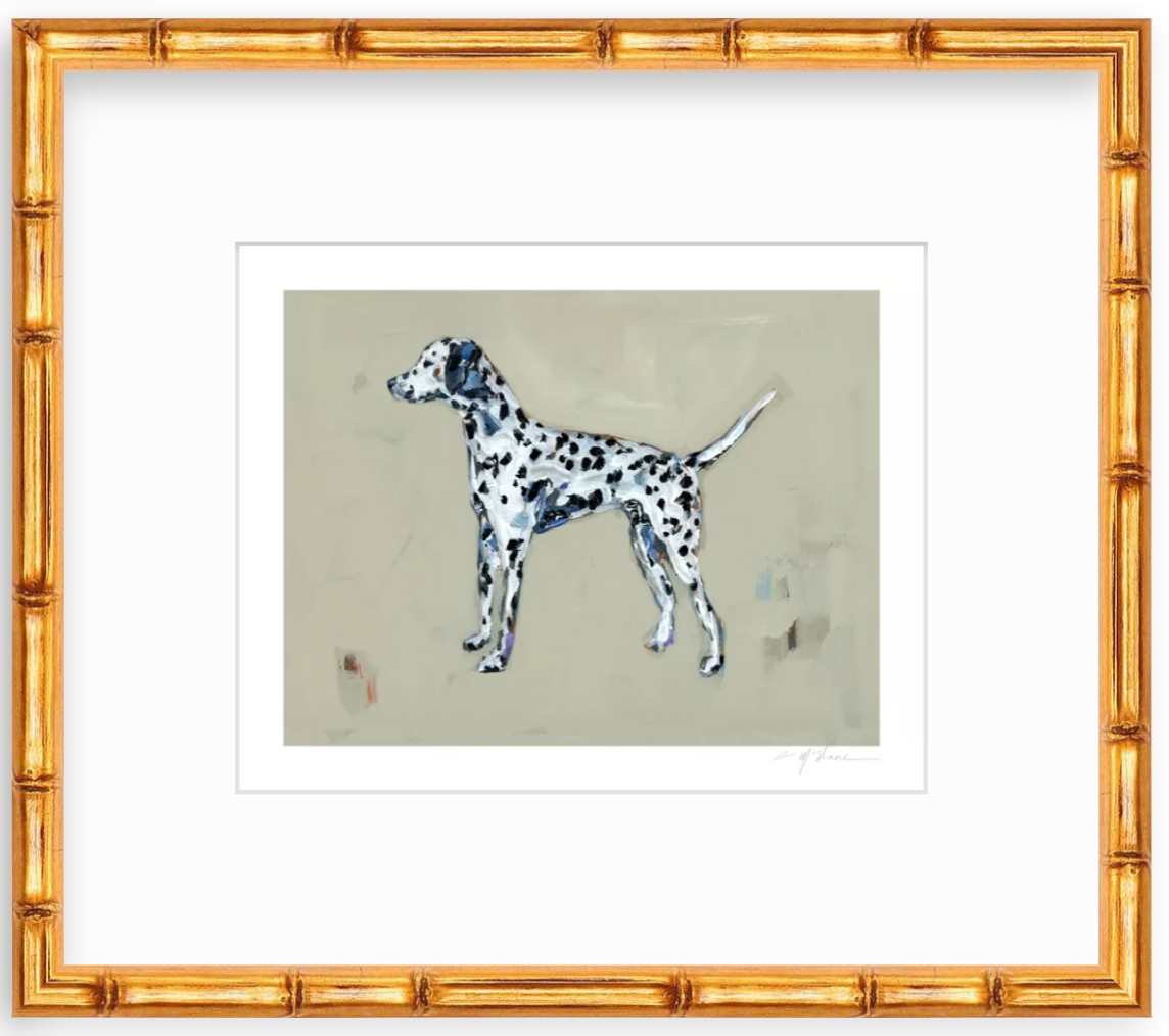 "Dalmatian" on paper