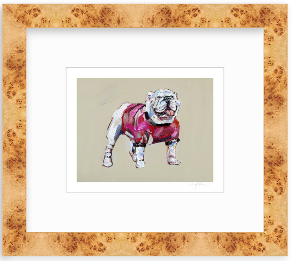 "Bulldog Red Shirt" on paper