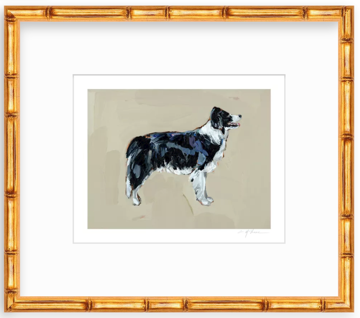 "Border Collie" on paper
