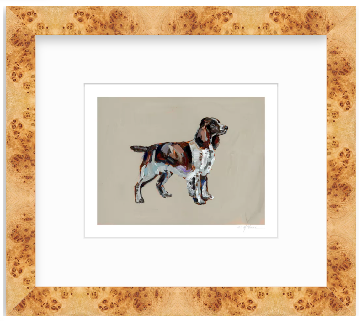 "English Springer Spaniel" on paper