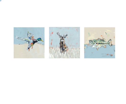 "True Aim II" set of 3