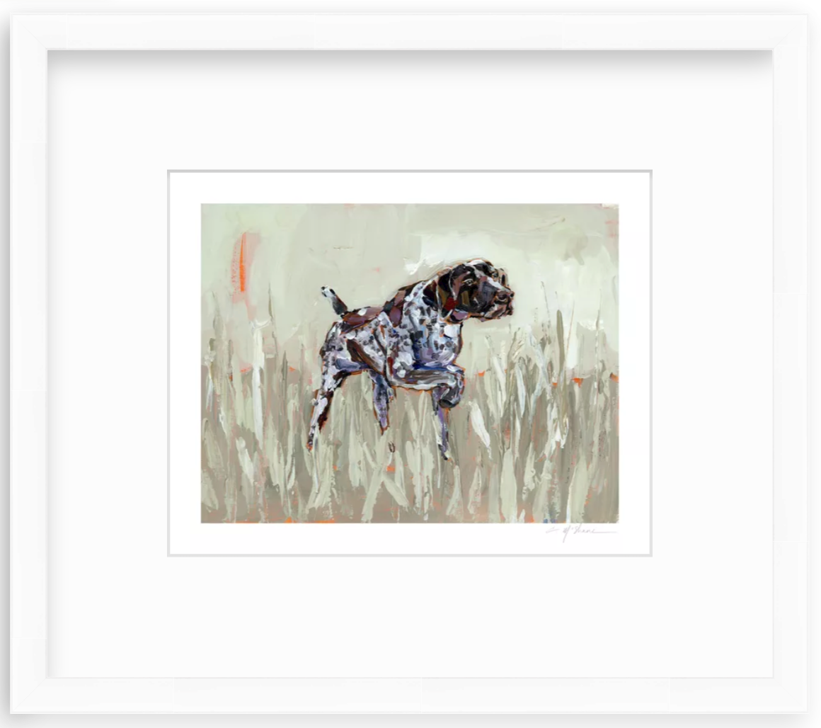 "German Shorthaired Pointer" on paper