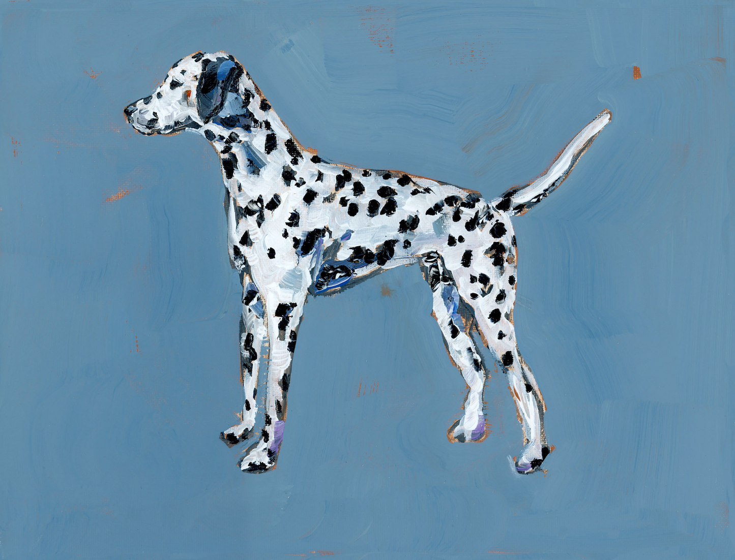 "Dalmatian" on paper