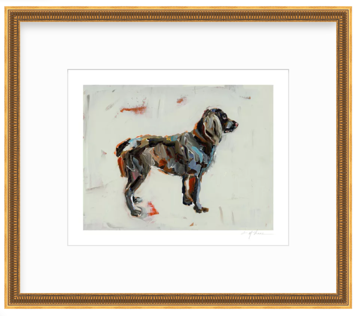 "Boykin" on paper