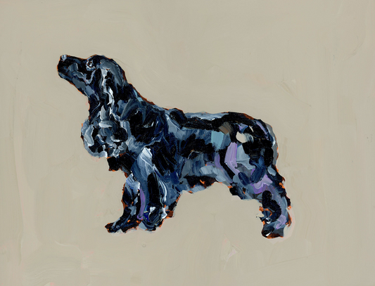 "Black Cocker Spaniel" on paper