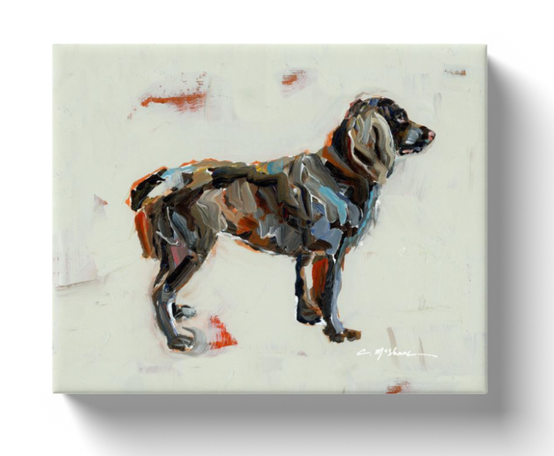 "Boykin" on paper