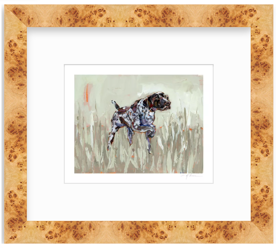"German Shorthaired Pointer" on paper