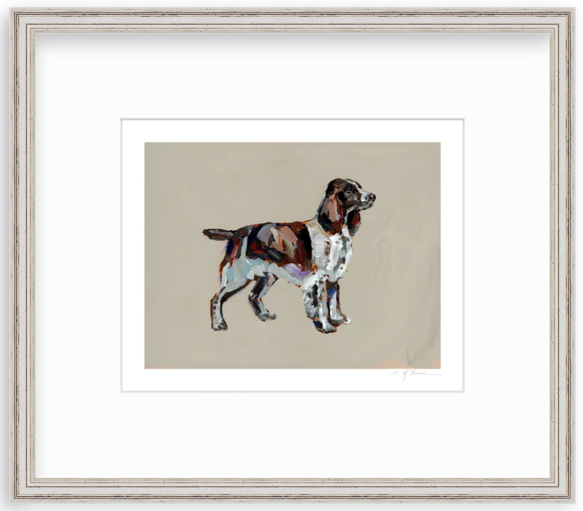 "English Springer Spaniel" on paper