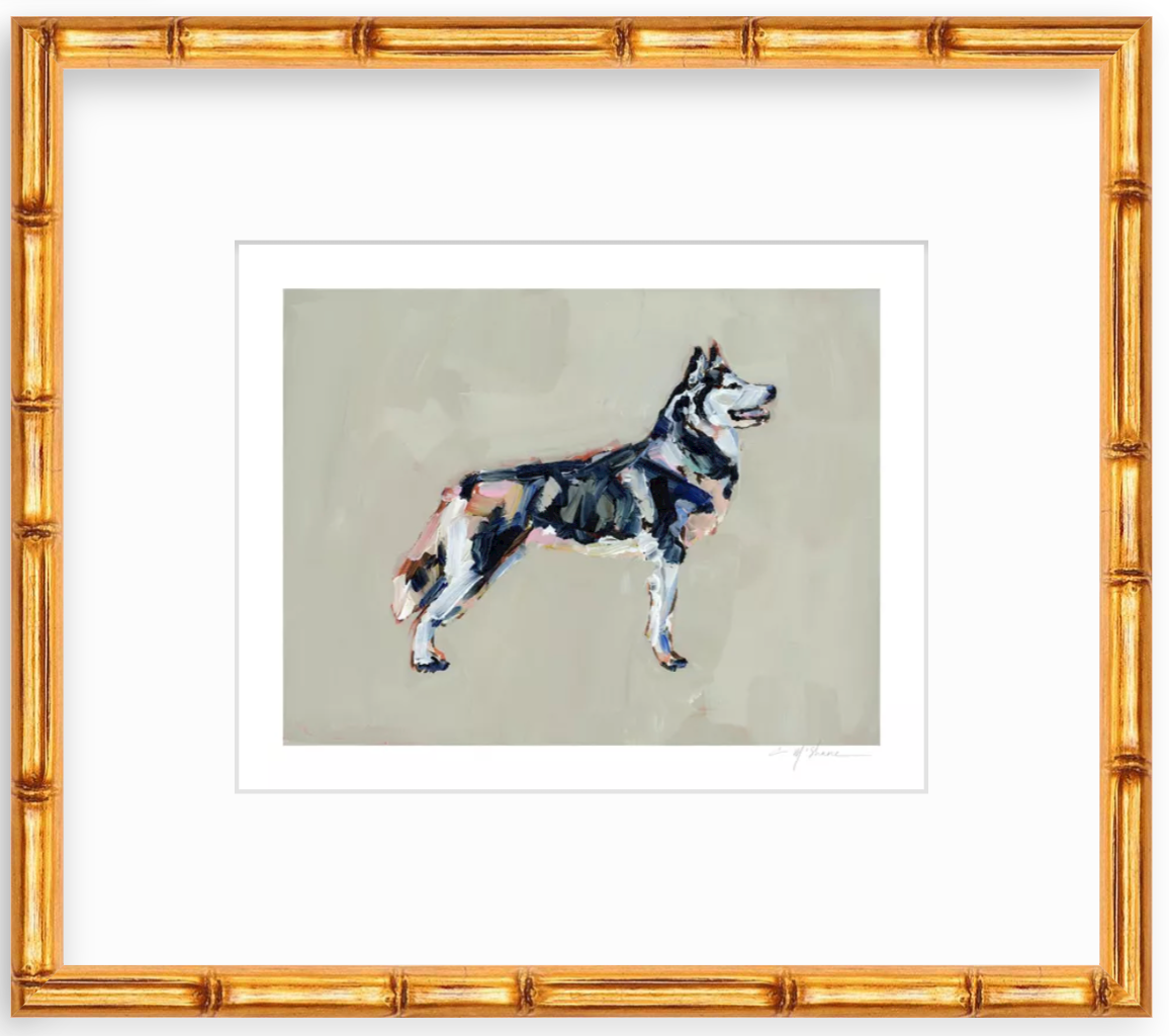 "Siberian Husky" on paper