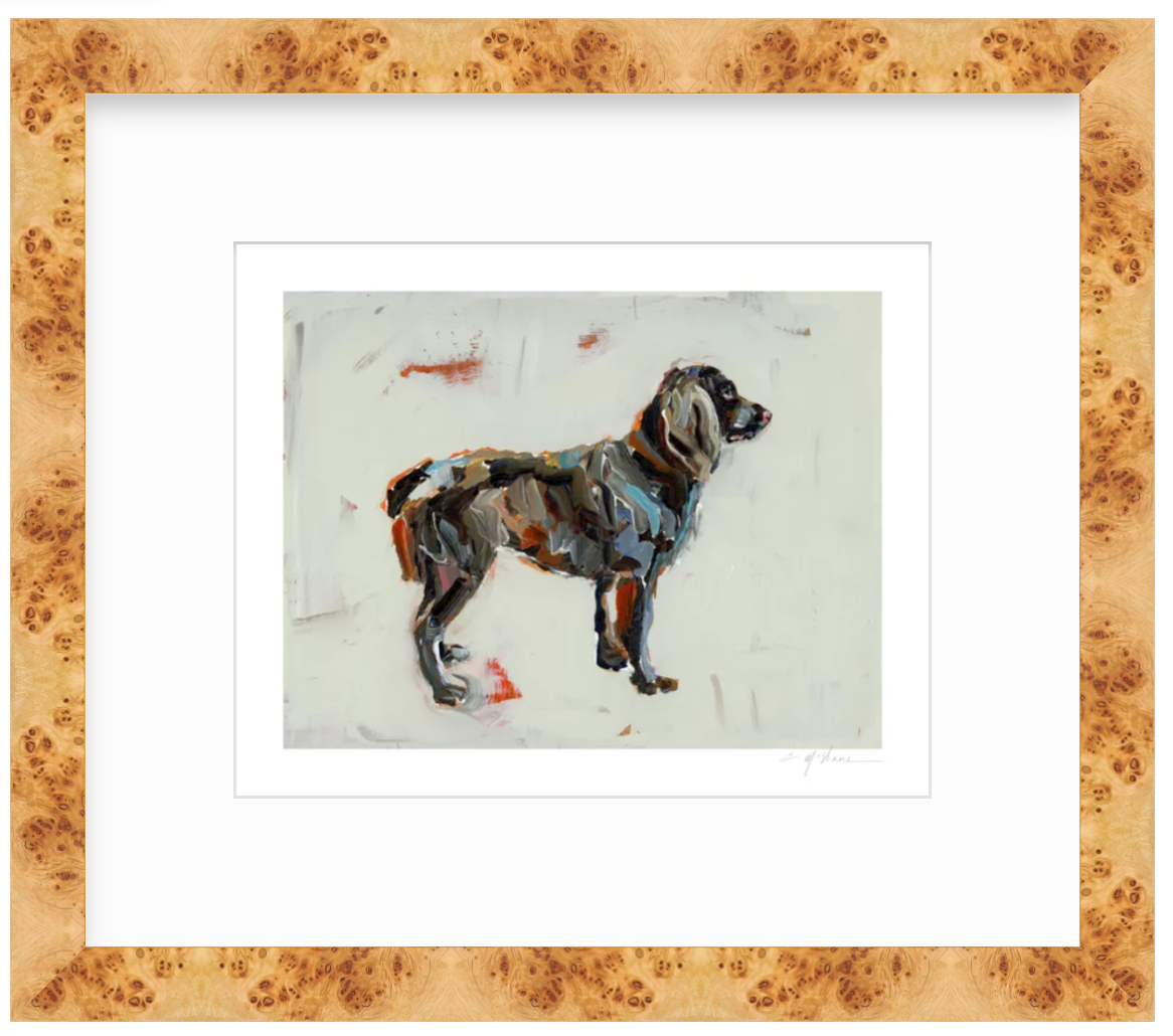 "Boykin" on paper