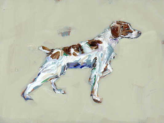 "Brittany Spaniel" on paper