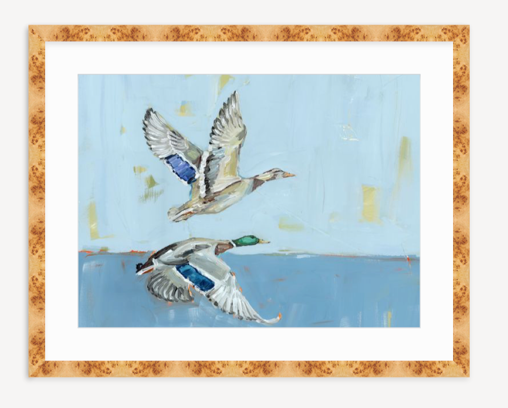 "Soaring High" on paper