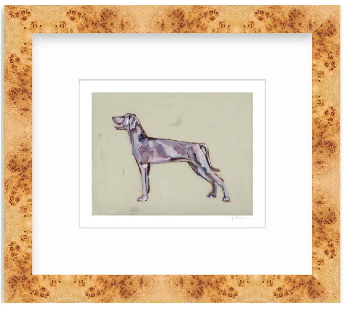 "Weimaraner" on paper