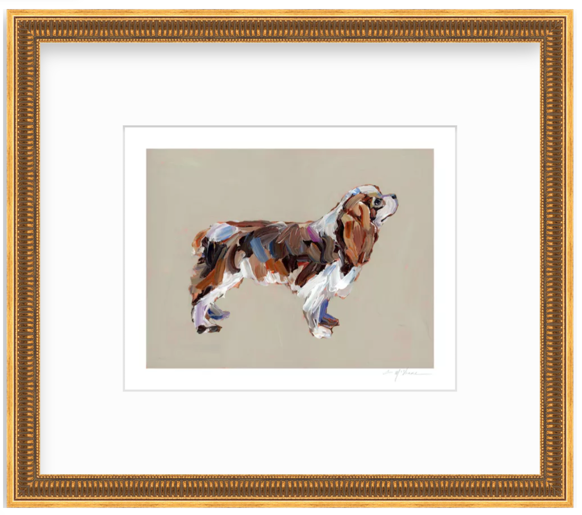 "Cavalier King Charles (blenheim)" on paper