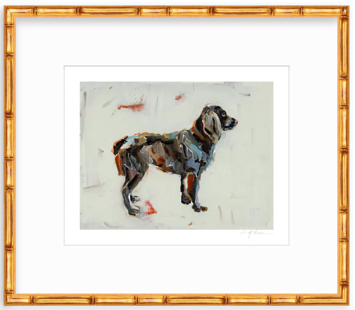 "Boykin" on paper