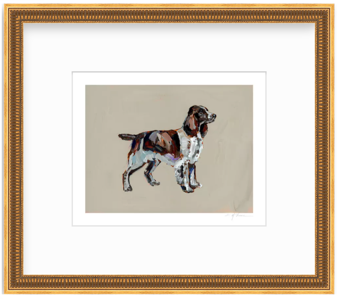 "English Springer Spaniel" on paper