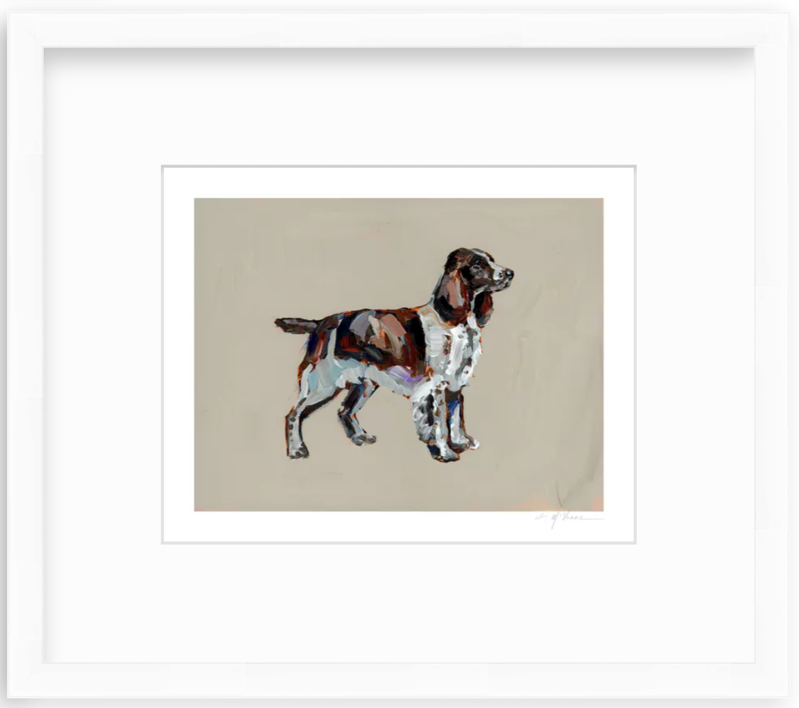"English Springer Spaniel" on paper