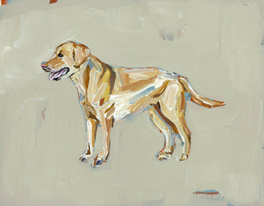 "Yellow Lab" tan print