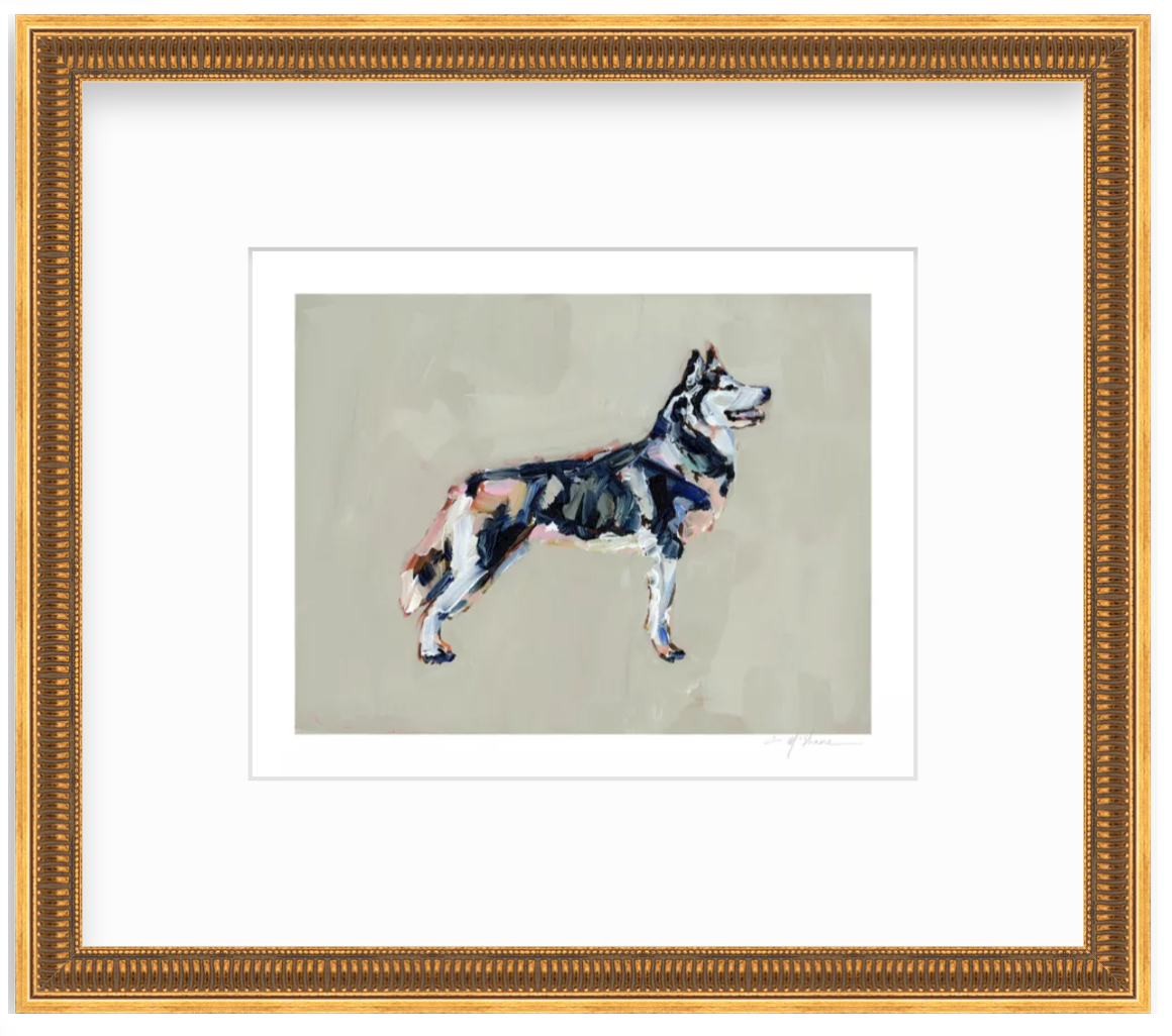 "Siberian Husky" on paper