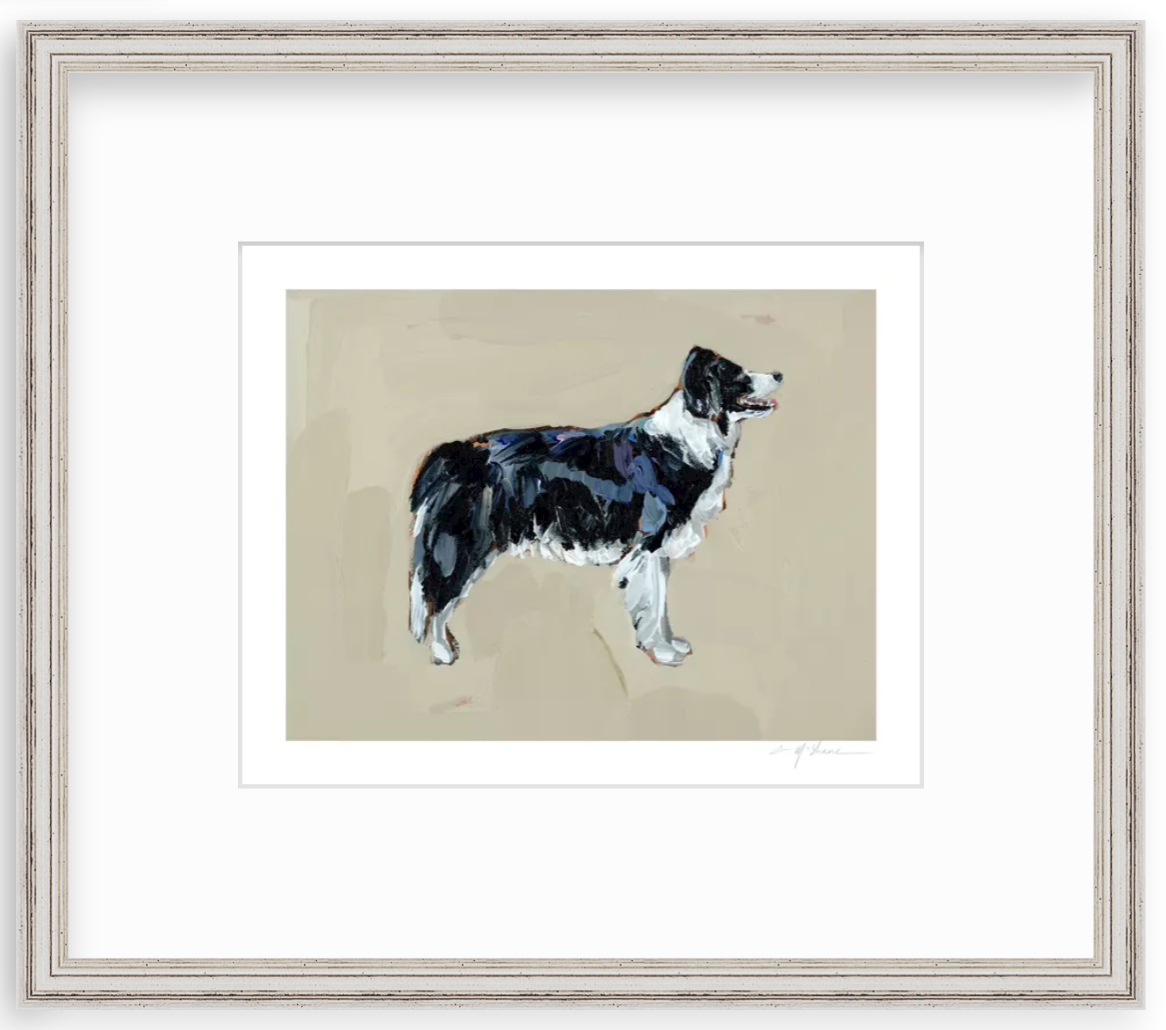 "Border Collie" on paper