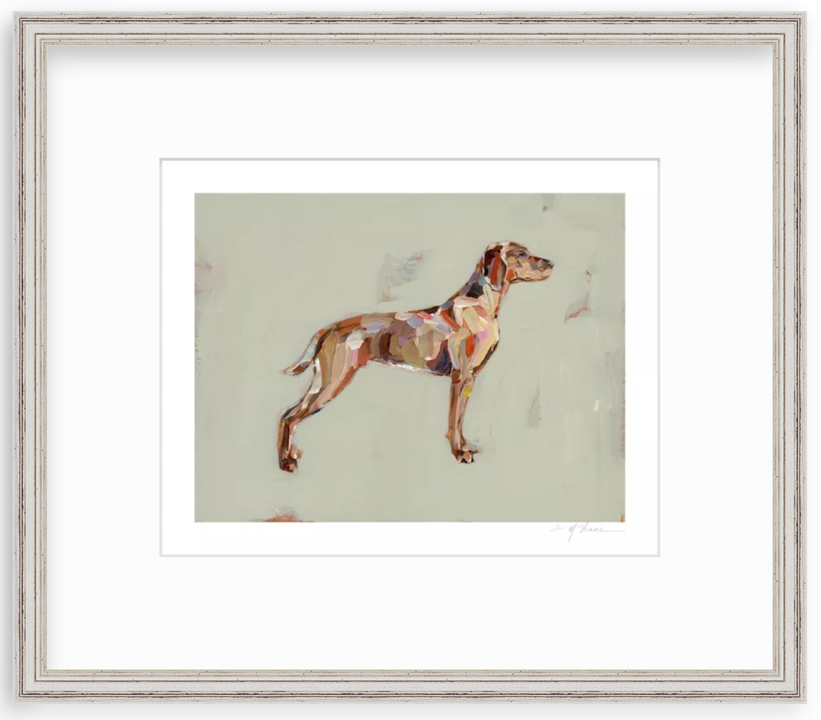 "Vizsla" print
