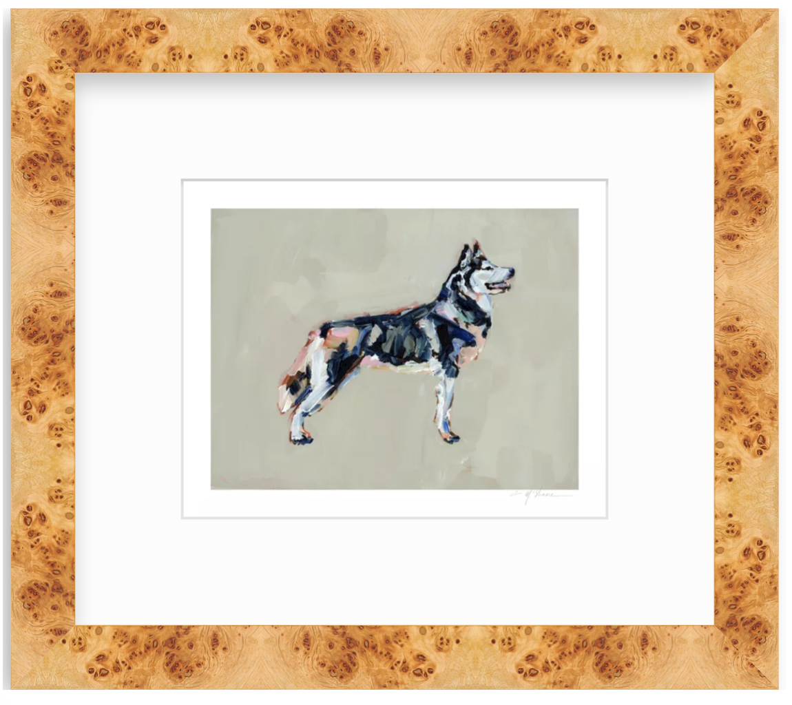 "Siberian Husky" on paper