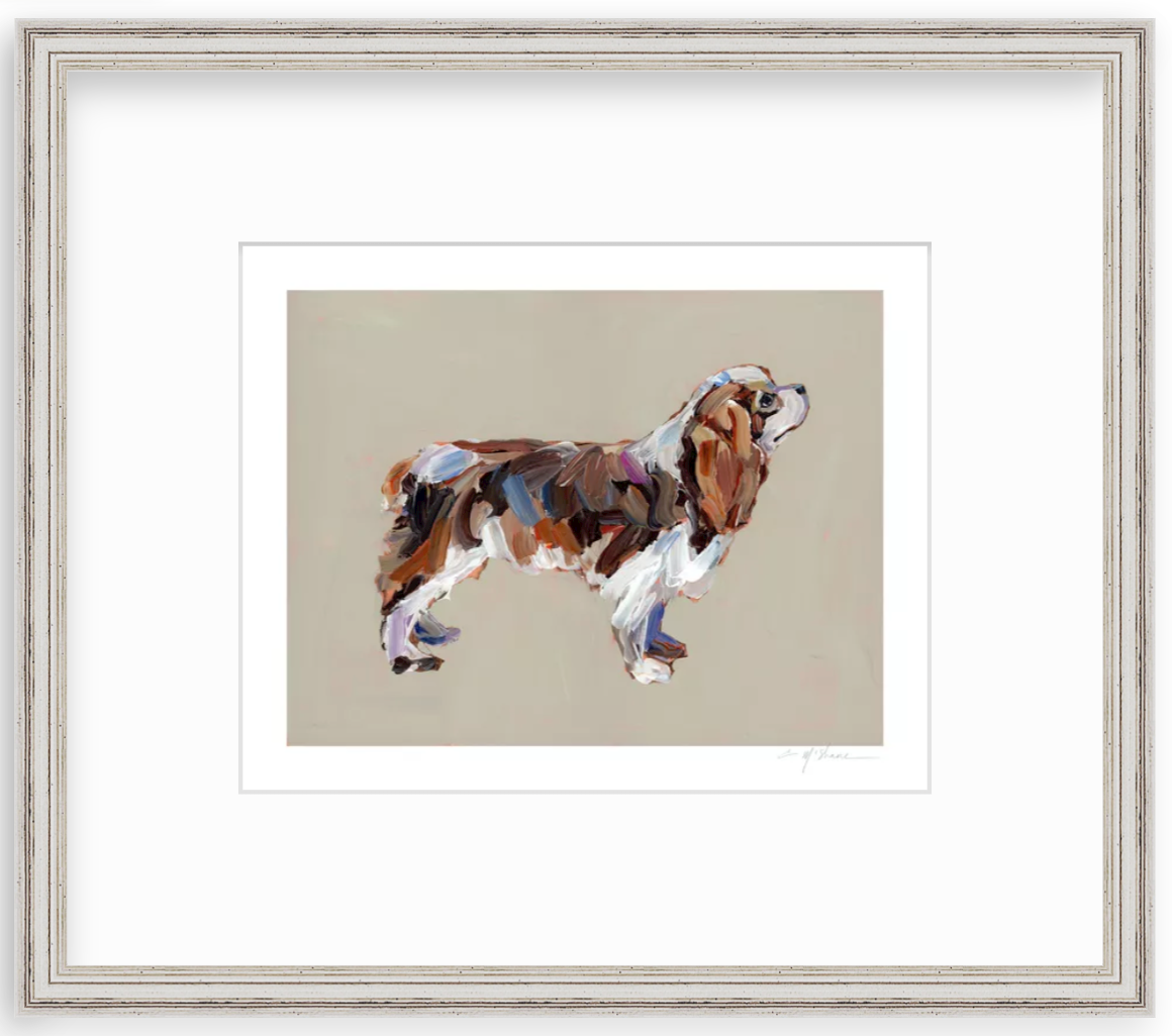 "Cavalier King Charles (blenheim)" on paper