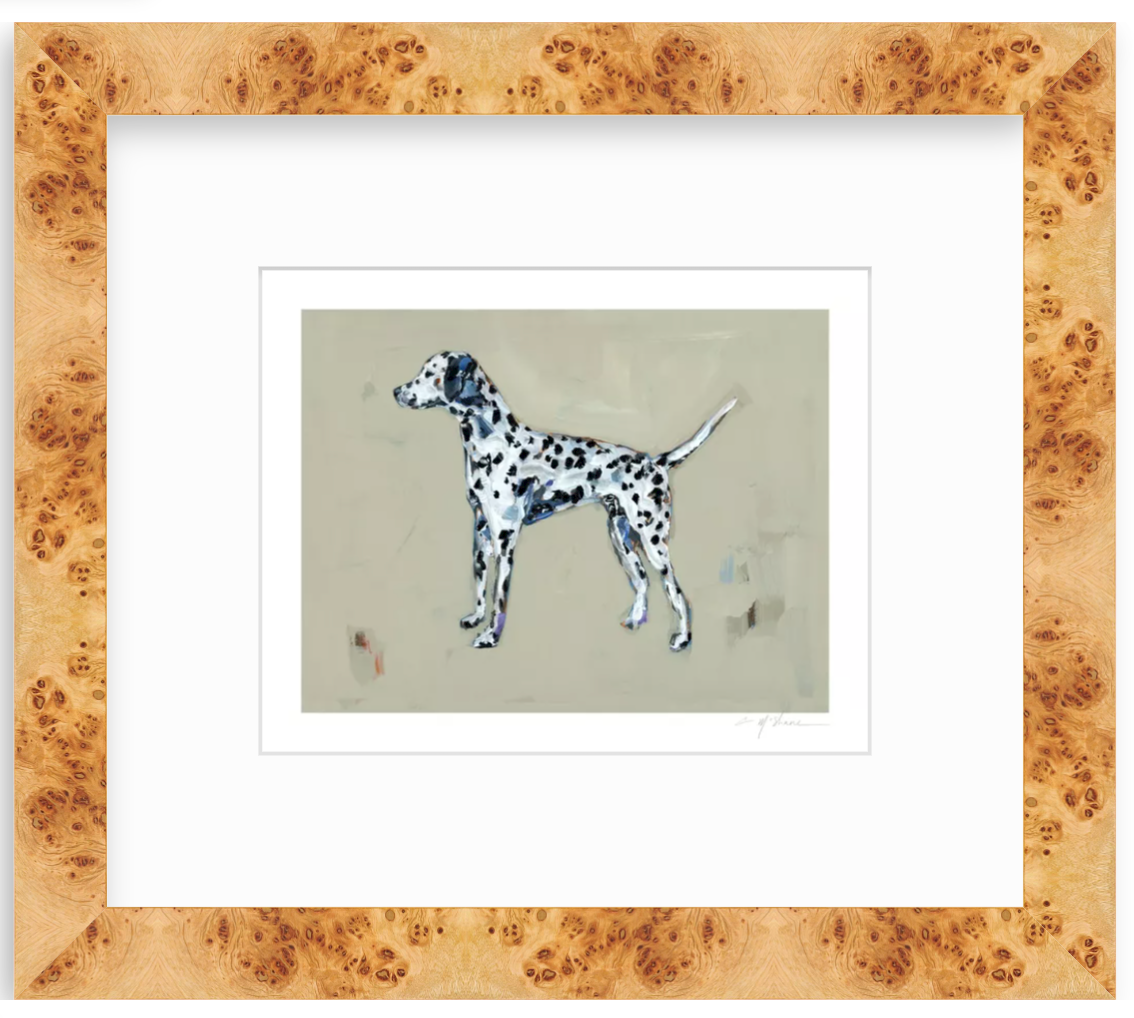 "Dalmatian" on paper